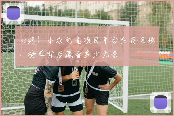 心疼!小众电竞项目平台生存困境,榜单背后藏着多少无奈