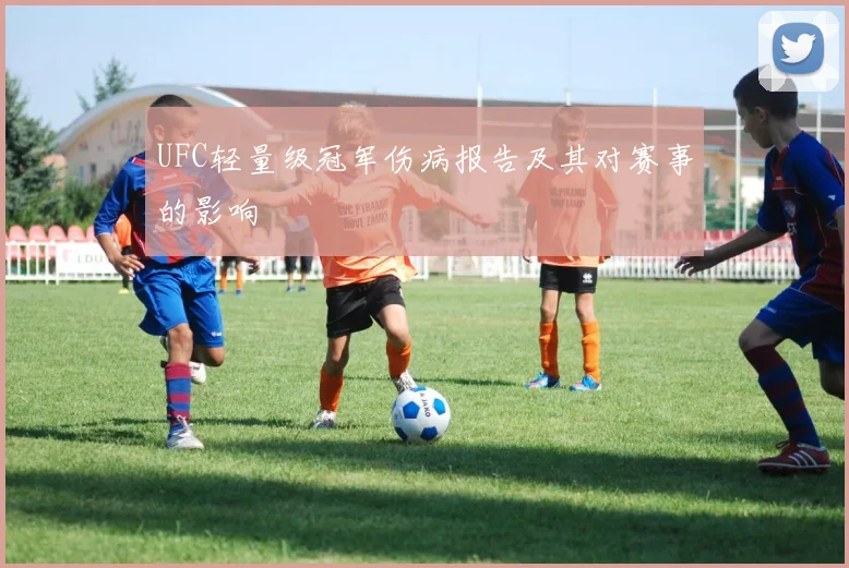 UFC轻量级冠军伤病报告及其对赛事的影响