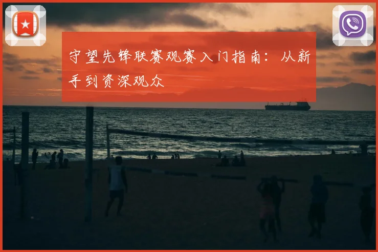守望先锋联赛观赛入门指南：从新手到资深观众