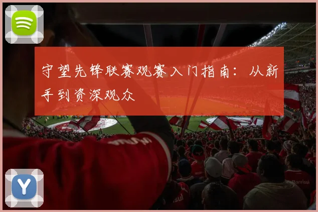 守望先锋联赛观赛入门指南：从新手到资深观众