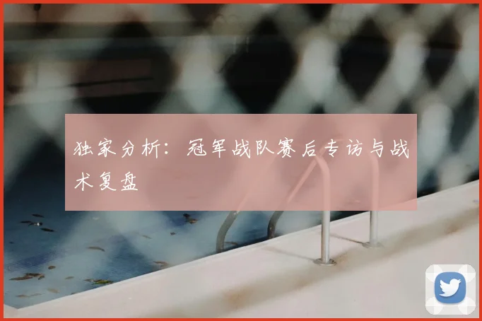 独家分析:冠军战队赛后专访与战术复盘