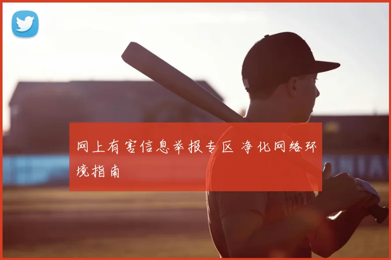 网上有害信息举报专区 净化网络环境指南