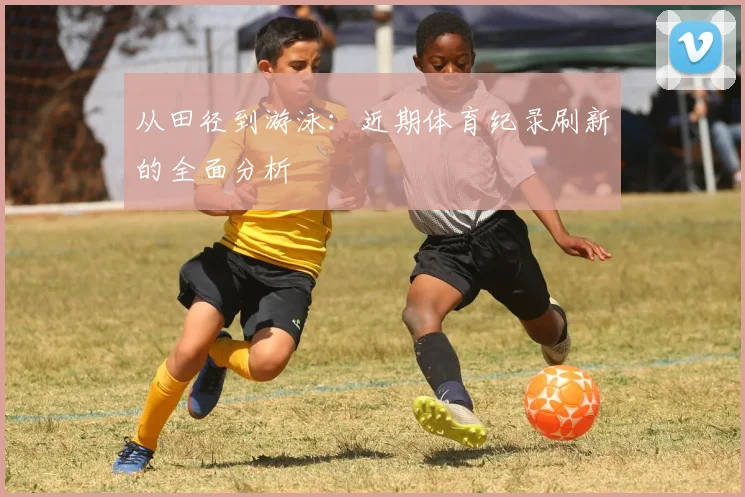 从田径到游泳：近期体育纪录刷新的全面分析