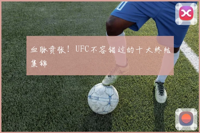 血脉贲张!UFC不容错过的十大终结集锦